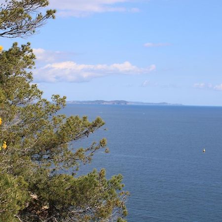 Studio L'Echappee Mandreenne Le Calme Entre Mer Et Foret Saint-Mandrier-sur-Mer Extérieur photo