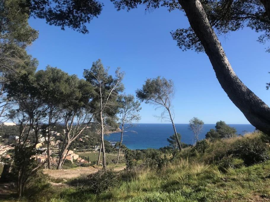 Studio L'Echappee Mandreenne Le Calme Entre Mer Et Foret Saint-Mandrier-sur-Mer Extérieur photo