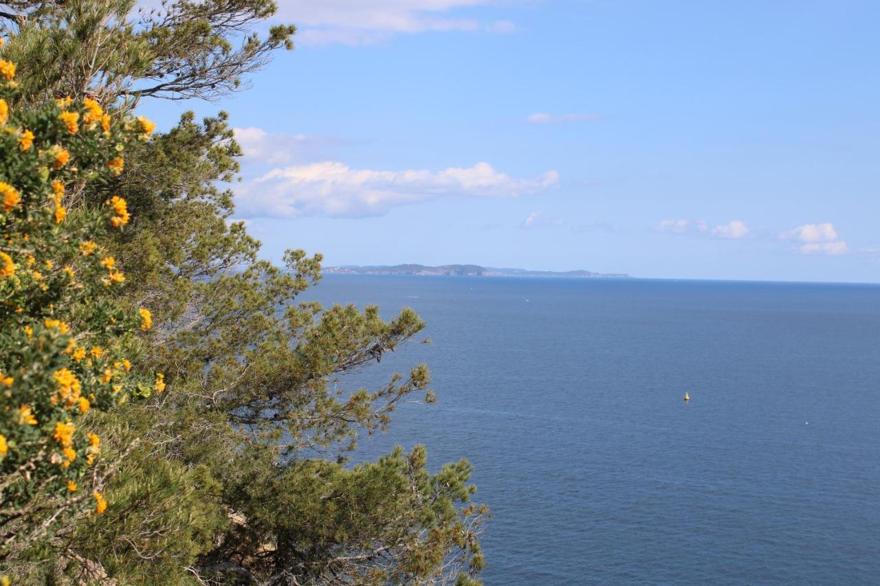 Studio L'Echappee Mandreenne Le Calme Entre Mer Et Foret Saint-Mandrier-sur-Mer Extérieur photo